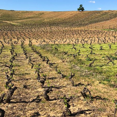 Boutique Finca Esencial Villafranca del Bierzo Kültér fotó