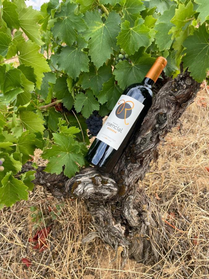 Boutique Finca Esencial Villafranca del Bierzo Kültér fotó