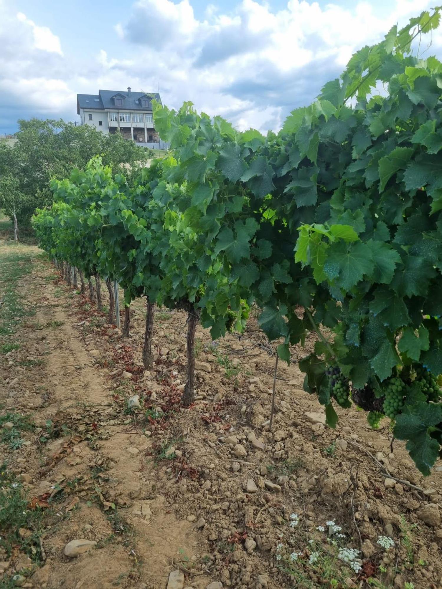 Boutique Finca Esencial Villafranca del Bierzo Kültér fotó