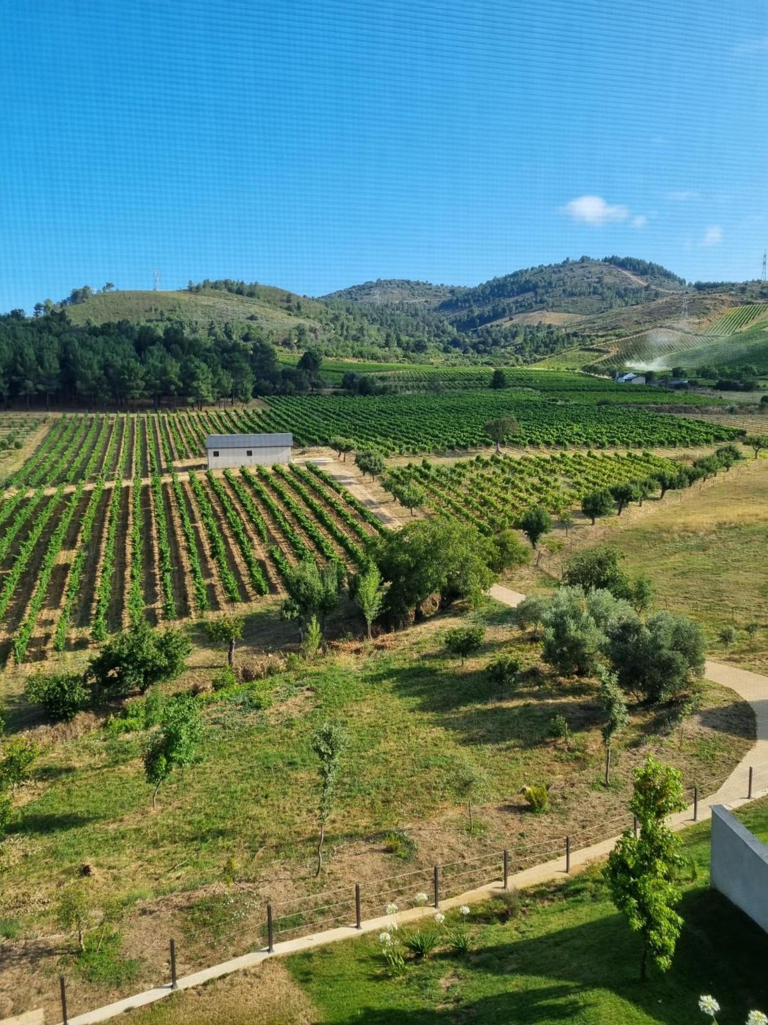 Boutique Finca Esencial Villafranca del Bierzo Kültér fotó