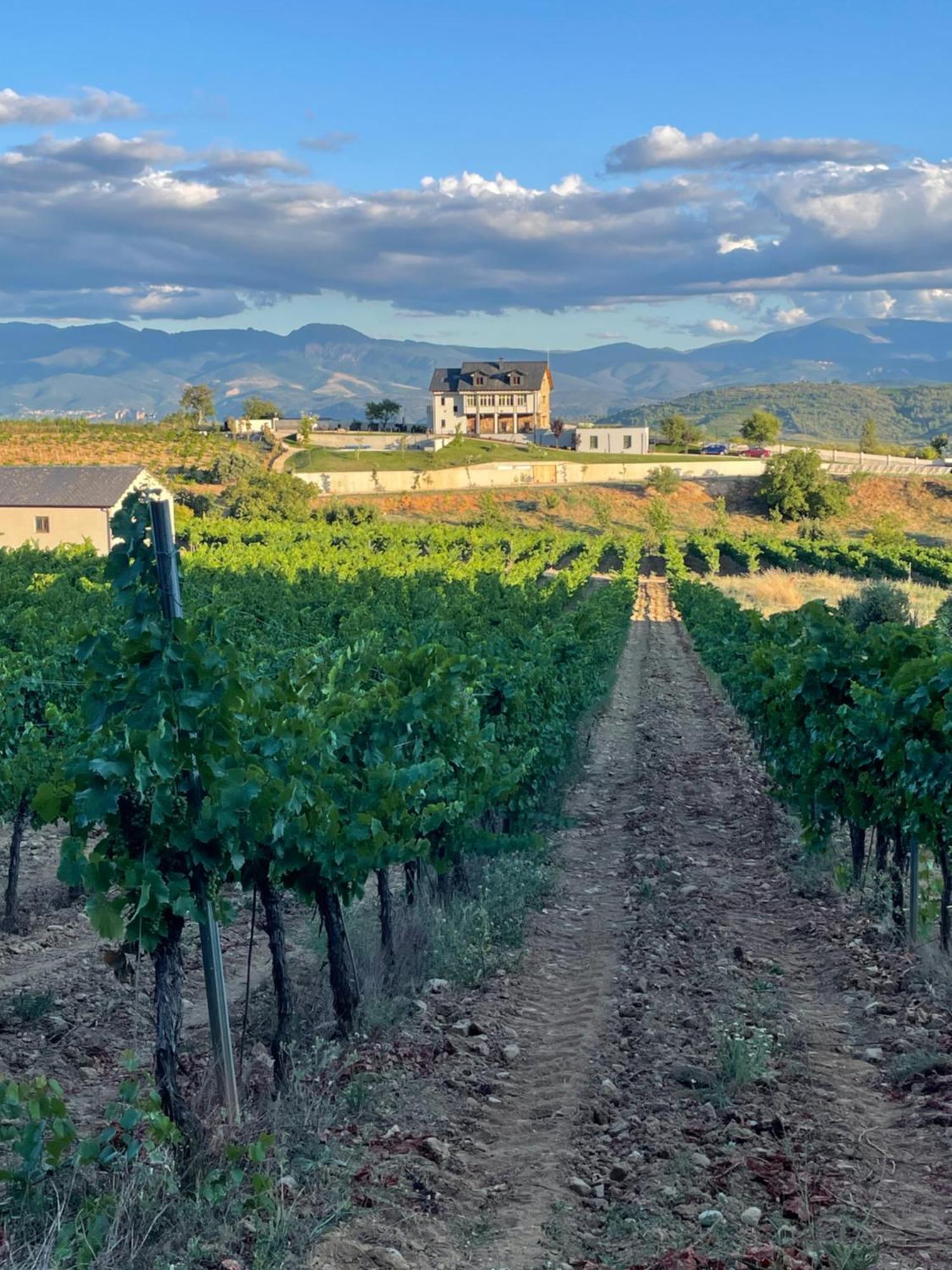 Boutique Finca Esencial Villafranca del Bierzo Kültér fotó